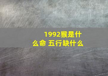 1992猴是什么命 五行缺什么